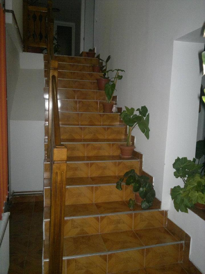 Pensiunea Buzdugan Alsómoécs Kültér fotó