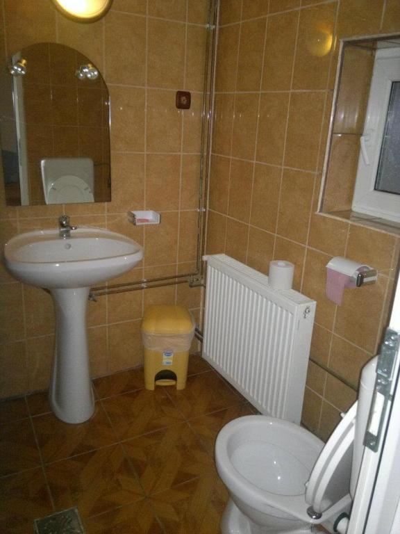 Pensiunea Buzdugan Alsómoécs Szoba fotó
